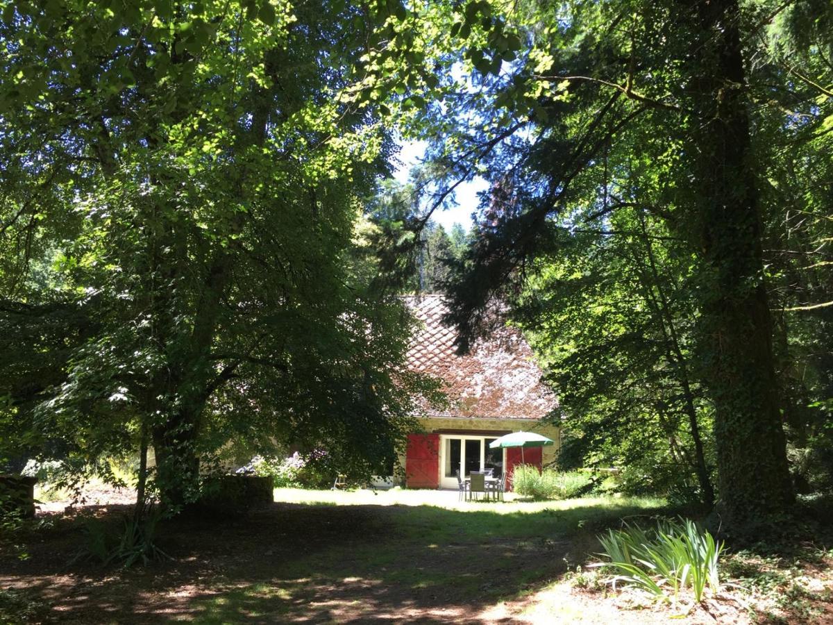 Gites Chateau Le Bois Saint-Julien-aux-Bois ภายนอก รูปภาพ