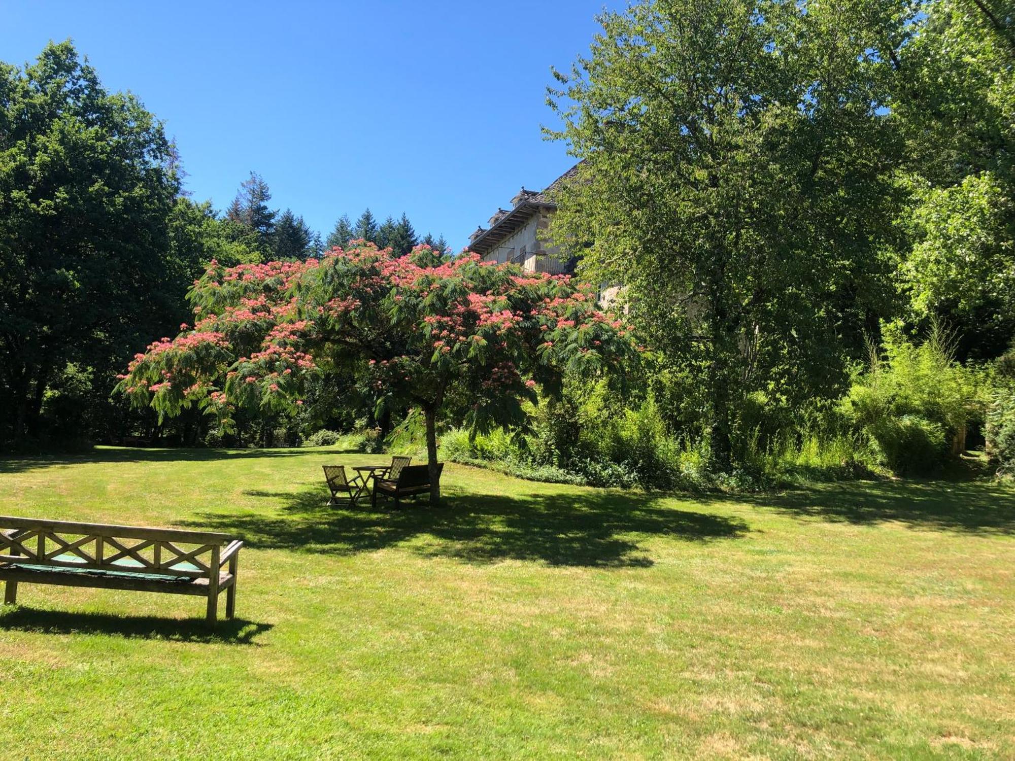 Gites Chateau Le Bois Saint-Julien-aux-Bois ภายนอก รูปภาพ
