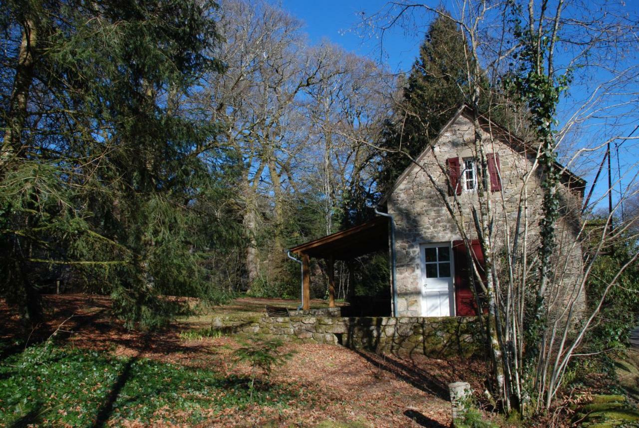 Gites Chateau Le Bois Saint-Julien-aux-Bois ภายนอก รูปภาพ